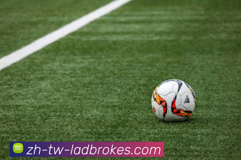 立博ladbrokes体育全站App